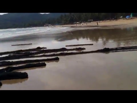 Goa Palolem Beach-Hindistan