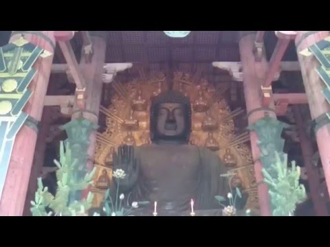 Todai-ji Tapınağı-Todai-ji Temple Nara