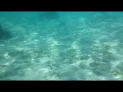 Coron Adası'nda Dalış Yaptım I Filipinler