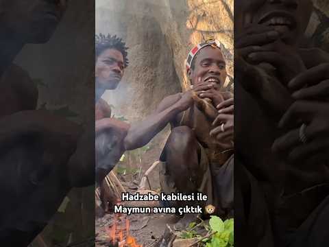 Hayatta kalmak için Maymun avına çıktık (Her şeyi yiyorlar)