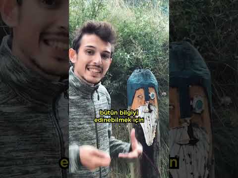 Vikinglerin inandığı Efsanevi Tanrıları ve Özellikleri