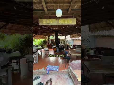 Tayland'da 100 TL’ye bungalov tuttum! #shorts