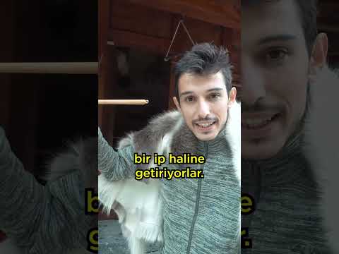 NORVEÇ'te VİKİNG Köyüne Gittim! #shorts