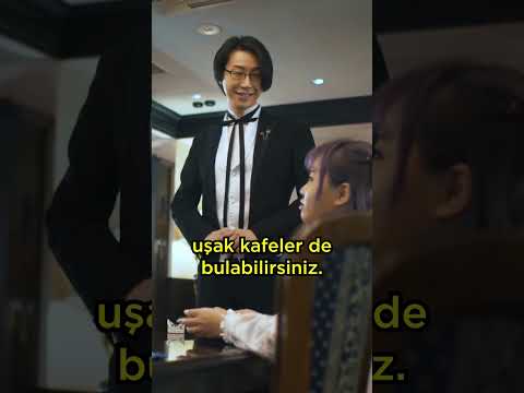 Japon Kızların HİZMETÇİ Cafeleri (Maid Cafeler) #shorts