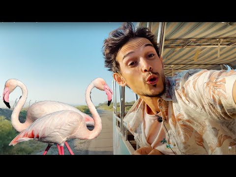 Türkiye'de 100 TL ile yapılacak en iyi deneyim - TARIM, SU VE HAYVANCILIK (Özel Video)