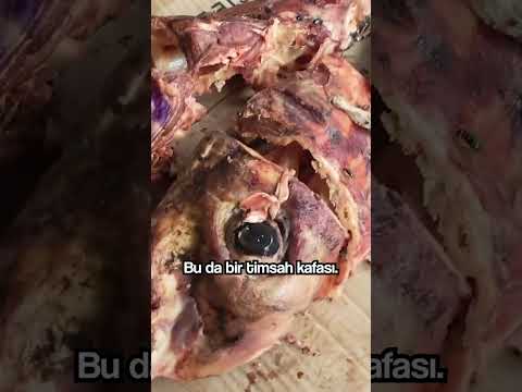 Bu Pazarda Timsah Eti Satılıyor  #shorts
