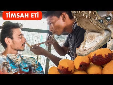 Dünyanın En Egzotik Pazarı (Timsah Eti Yiyorlar) - Ayahuasca Çayı, Bitkisel Tedavi