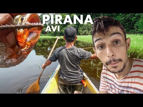 AMAZONLARDA PİRANA AVI (Bu suya düşmek istemezsiniz)