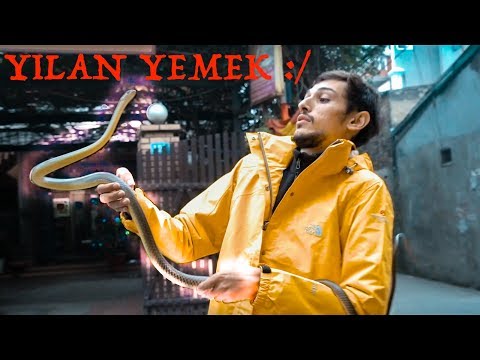 Vietnam'daki Bu Restoranda Yılan ve Köpek Eti yiyorlar