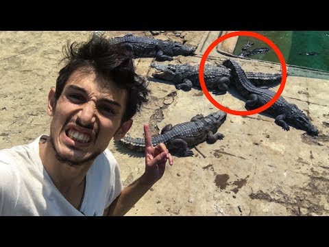 Ormanın İçinde Yüzlerce Timsah Bulduk! - Kamboçya