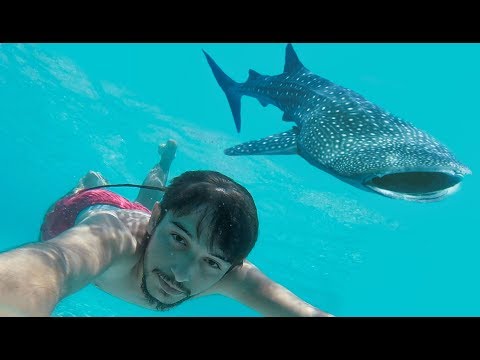 KÖPEK BALIKLARIYLA YÜZDÜM (HEYECANDAN ÖLÜYORDUM)