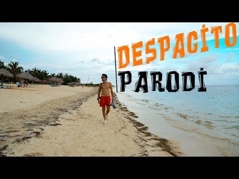 Emre Durmuş Küba - Despacito Parodi