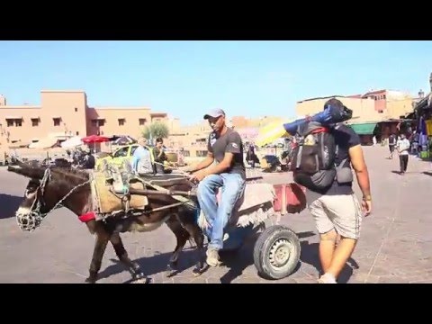 Fas'da İlk Günüm - MARAKEŞ