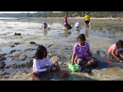 Bakın Lüks Restorantlarında Satılan Deniz Mahsülleri Nasıl Toplanıyor?