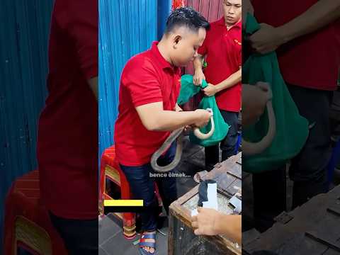 KOBRA YILANI SOKTU! 4 SAATİ VAR - Tangerang | Endonezya