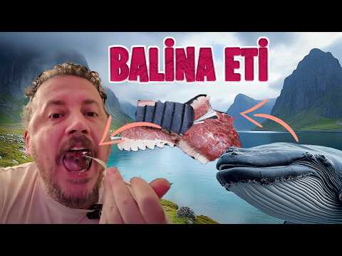 Balina Eti ve Kral Yengeci Yedik - Kutup Dairesi - Norveç Yemekleri