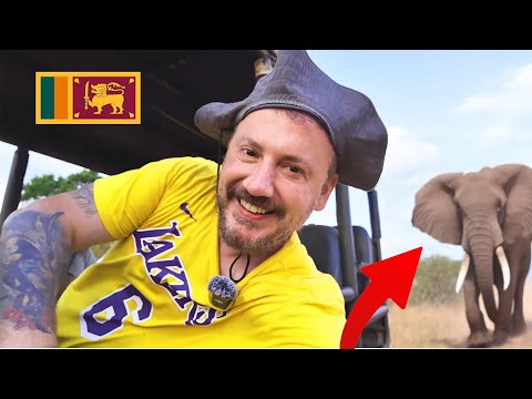 1.000 Deli 1 Leoparın Peşinde - Sri Lanka Safari | Yala Ulusal Parkı