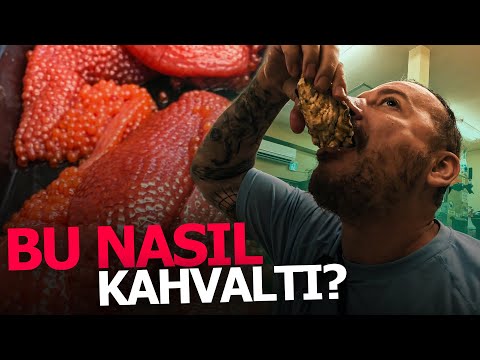 Japonya'nın Kuzeyine Yolculuk | Sapporo - Hokkaido