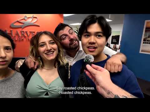 Amerika’da Nasıl Kalırım - Dil Okulu ile Amerika'ya gitmek - Work and Travel