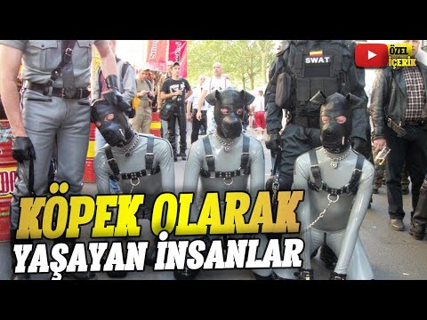 VİYANA ÇILGIN GECE HAYATI | VİYANA - AVUSTURYA