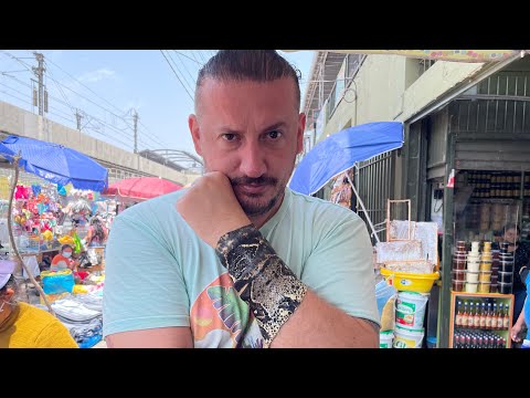 Cadı ve Büyücülerin Pazarı | Lima - Peru