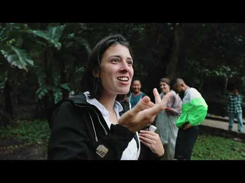 Palenque | Maya Uygarlığının Kayıp Şehri - Chiapas - Meksika 🇲🇽