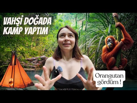 Endonezya'nın Vahşi Yağmur Ormanlarında KAMP YAPTIM! Orangutan Gördüm!