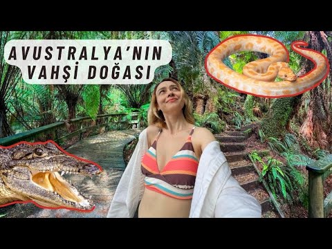 Avustralya'nın Kuzeyine VAHŞİ DOĞASINA Gidiyorum!