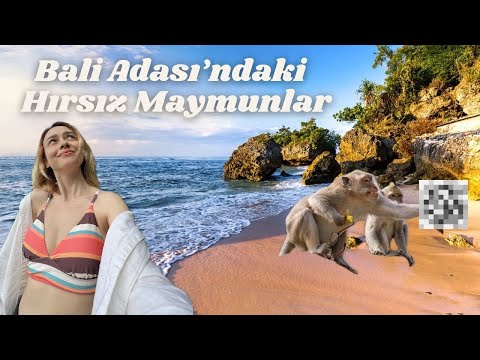 BALİ'DE İLGİNÇ İLK GÜNLERİM - Hırsız Maymunlar ve İlginç Pasaport Anım ve Havuzlu Villa
