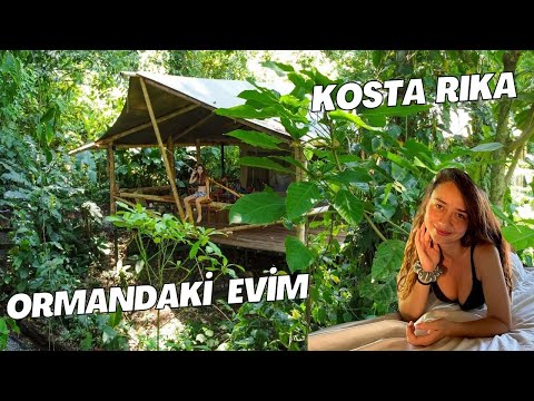 GÖZÜMÜ YAĞMUR ORMANLARINDA AÇTIM!