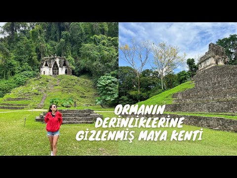 Meksika'nın Fantastik Ormanlarında Bir Gün Geçirmek!  - Palenque Meksika Vlog