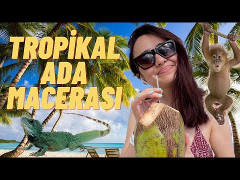 Karayipler'in Issız Adasında Bir Gün Geçirdim!