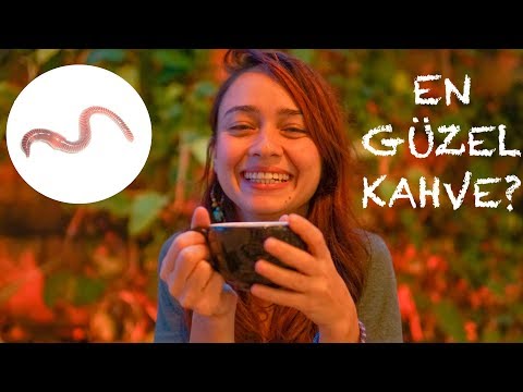 DÜNYA'NIN EN GÜZEL KAHVELERİNİ İÇTİM - UCUZ vs PAHALI