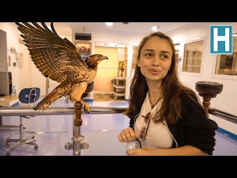 Hayatınızda Hiç ŞAHİN Hastanesi Gördünüz mü? - Katar Vlog
