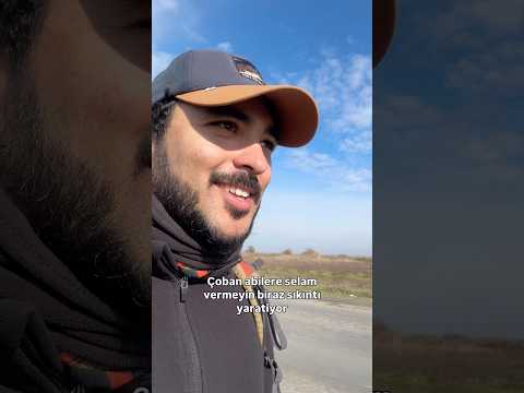 Türkiye’den Moğolistan’a Yürüyorum🚶🏻‍♂️‍➡️Gün 49 Kurt 🐺 #gezi #yürüyüş #seyahat #doğa #azerbaycan