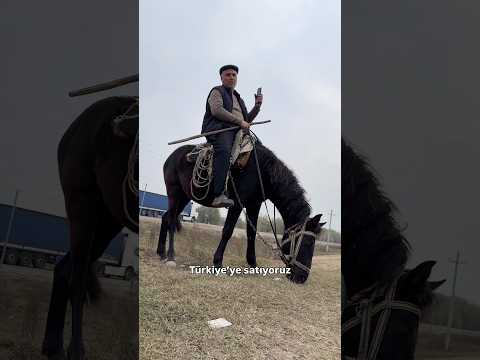 Türkiye’den Moğolistan’a Yürüyorum🚶🏾‍♂️‍➡️Gün 44 sohbet🐎#seyahat #yürüyüş #gezi #doğa #azerbaycan