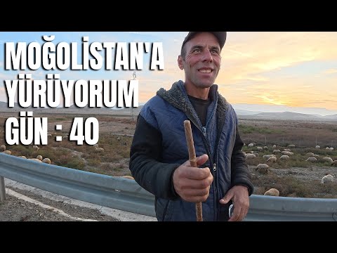 Türkiye’den Moğolistan’a Yürüyorum 🚶🏿‍♂️ Gün 40 (Şəmkir - Gəncə | 31 KM)