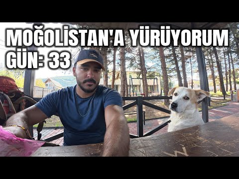 Türkiye’den Moğolistan’a Yürüyorum 🚶🏿‍♂️ Gün 33 (Gori - Tiflis | 28 KM)