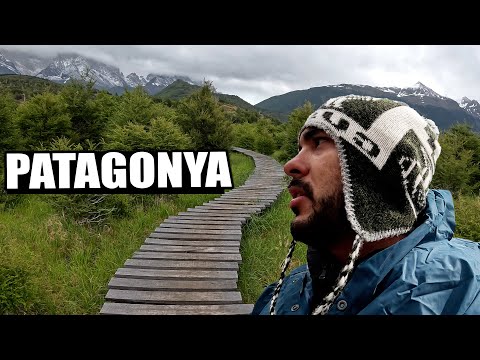 Dağlarda Çadır Kurup, Kamp Yaptım! DİKKAT PUMA ÇIKABİLİR!! 🇨🇱 ~673