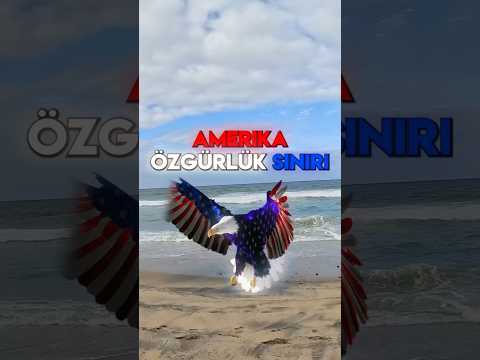 Amerika - Meksika Sınır duvarı