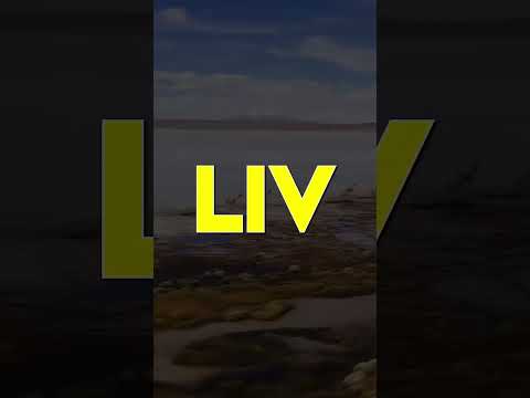 Güney Amerika’da yine silahlar patlıyor. Bolivya‼️