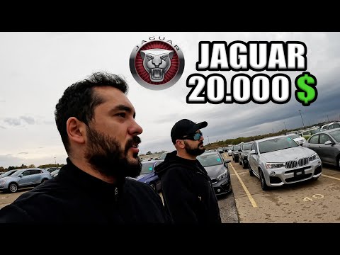 Amerika'da Araba Pazarı ve Fiyatları (Açık Artırmaya Katıldım) ~618