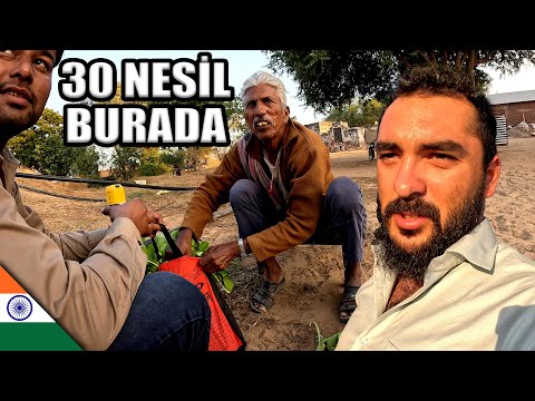 3000 Yıldır Aynı Köyde Yaşayan HİNTLİ AİLE 🇮🇳 ~558