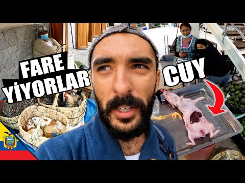 Ekvador'da Gine Domuzu (CUY - FARE) Yiyorlar!! 🇪🇨 🐹 ~482