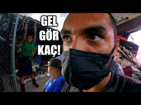 Tehlikeli Sokaklar! Belize'de Okul Otobüsü Yolculuğu (Tavuk Otobüs) 🇧🇿 ~407