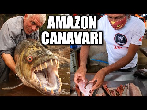 Amazon Nehri Canavarları ve İlginç Sokak Yemekleri 🇧🇷 ~358