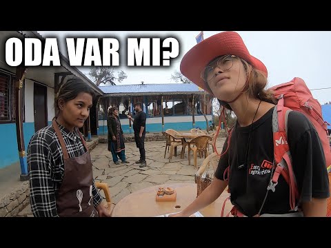 ALÇAK KAMP'A Gidiyoruz! MARDİ HİMAL ~324