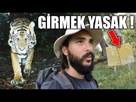 KAPLANLI Ormana KAÇAK GİRMEYİ Denedik !! ~307