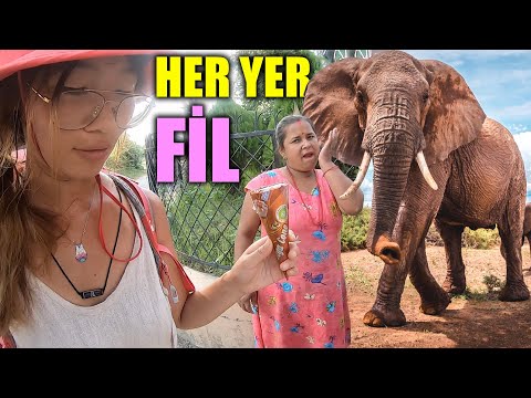 Nepal'de VAHŞİ Hayvanlara DOĞRU GİDİYORUZ!! ~304