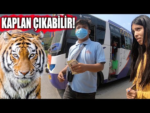 Hindistan'a Doğru Otobüs Yolculuğu (Chitwan-Sauraha) ~303